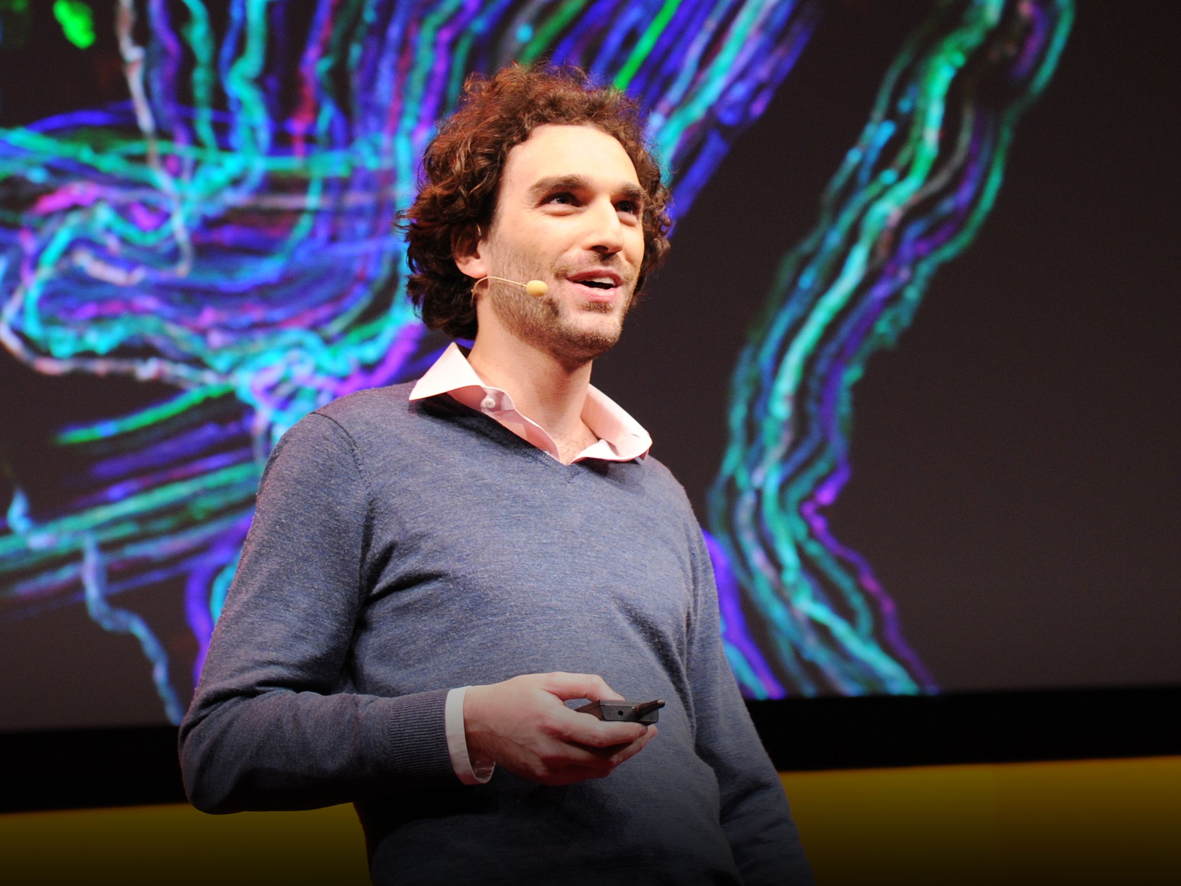 How to look inside the brain