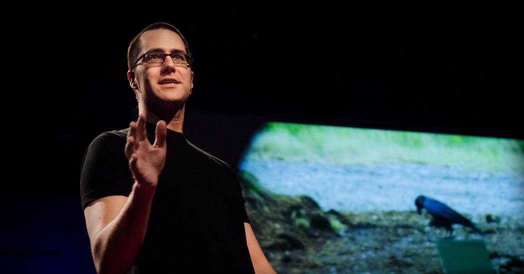 Joshua Klein ジョシュア クライン カラスの知性 Ted Talk