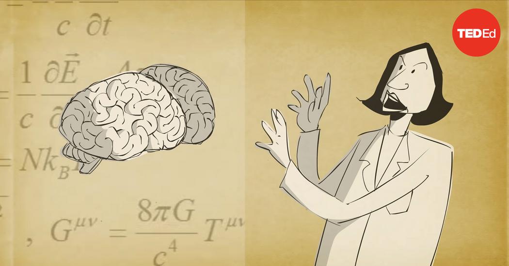 Catharine Young How Memories Form And How We Lose Them TED Talk