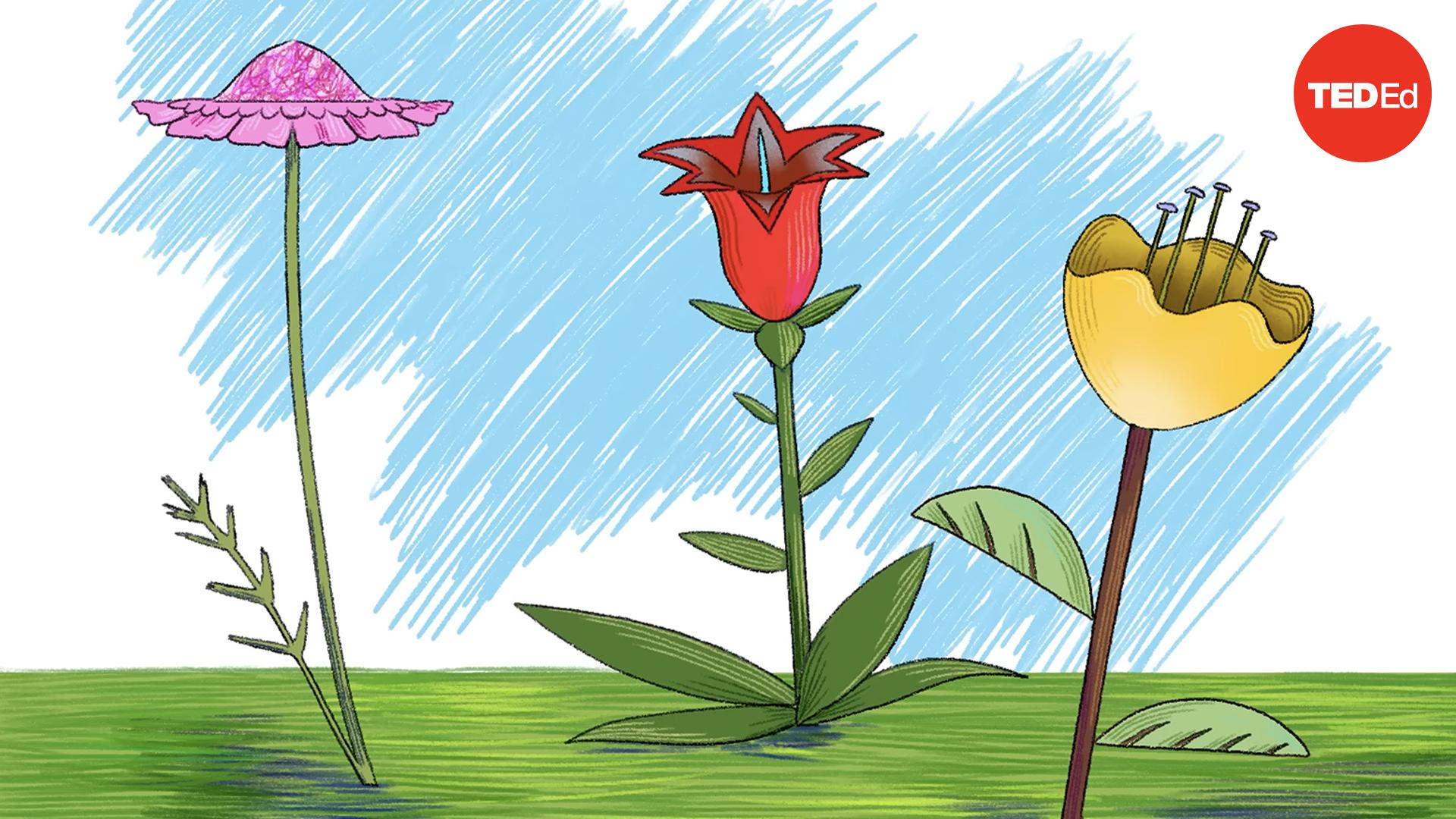 What is the rarest color in nature?