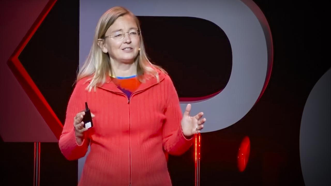TED Talk