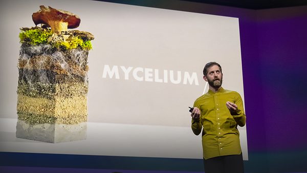 The future of fashion -- made from mushrooms