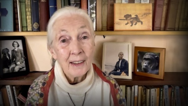 Jane Goodall: Every day you live, you impact the planet