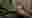 poster placeholder