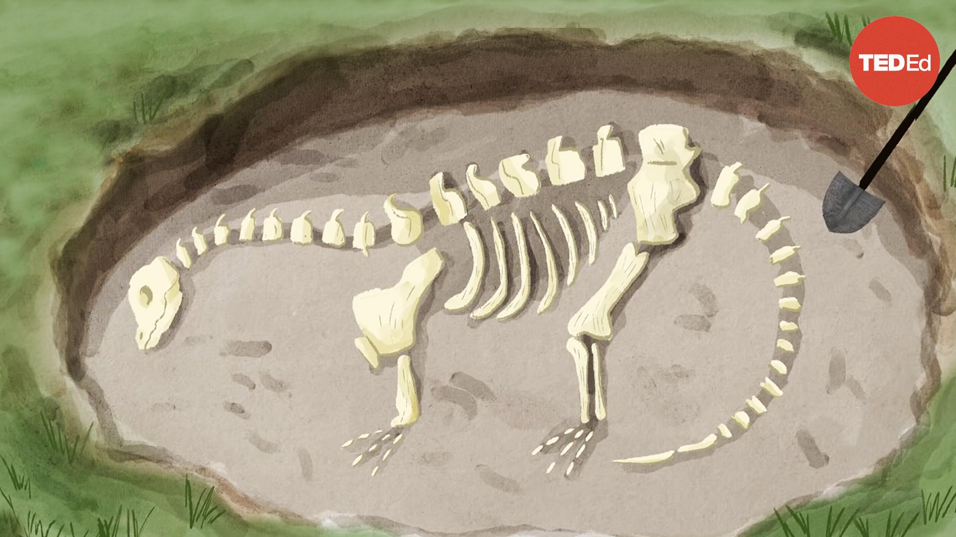 The most notorious scientific feud in history