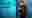 poster placeholder