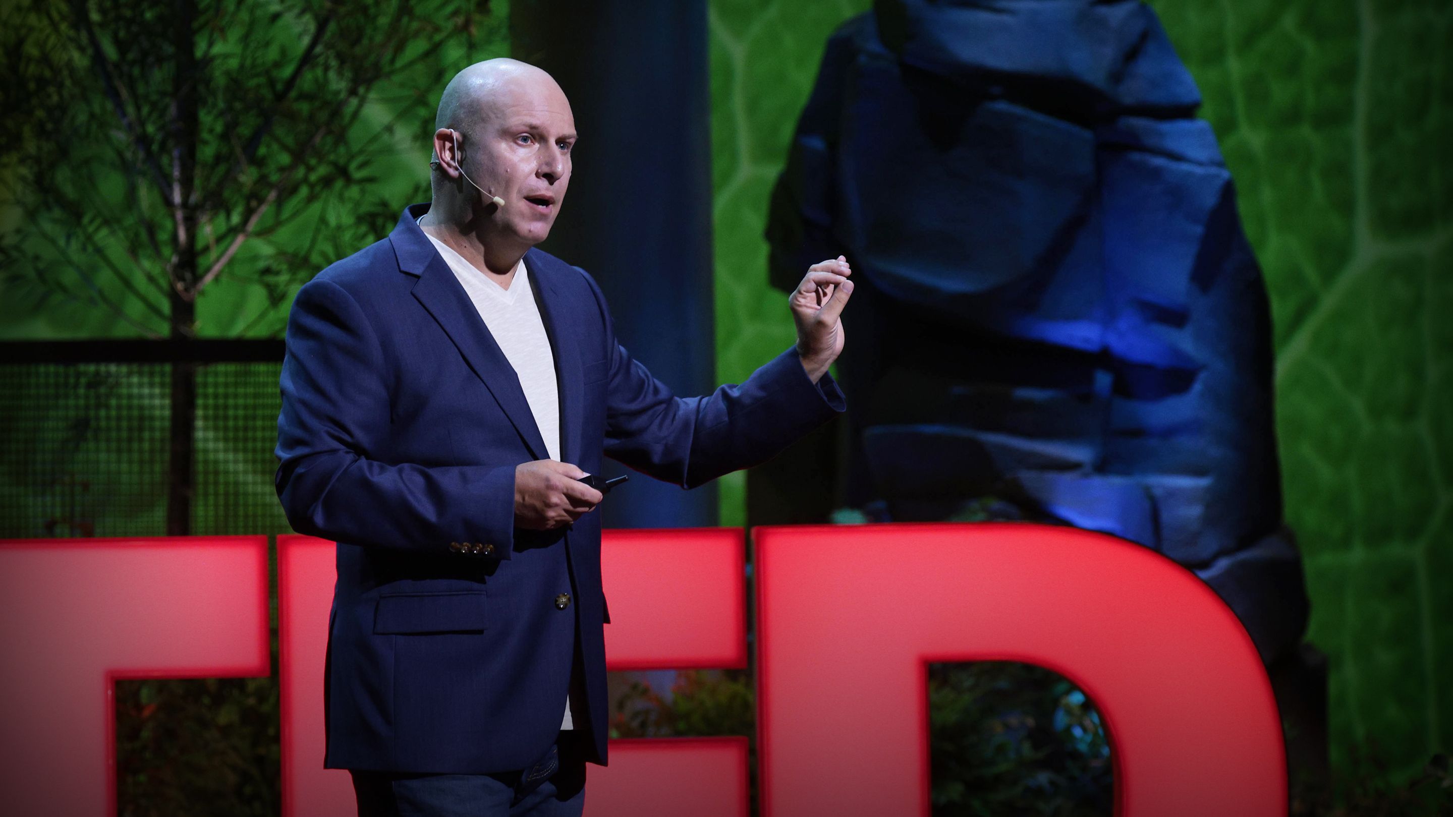 Why isn't the climate movement voting?