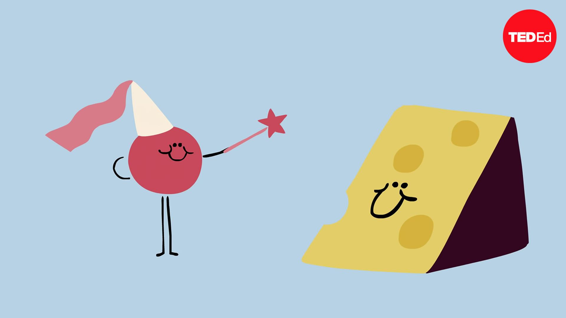 Paul S. Kindstedt A brie(f) history of cheese TED Talk