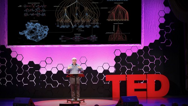 Stephen Wolfram:  How to think computationally about AI, the universe and everything