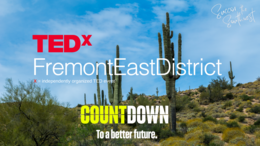 TEDxFremontEastDistrict